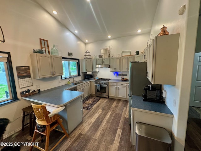 6780 W Blondell Dr, Wasilla, AK 99623 - kitchen with stainless steel appliances, under cabinet range hood, a peninsula, high vaulted ceiling, and dark wood-style flooring