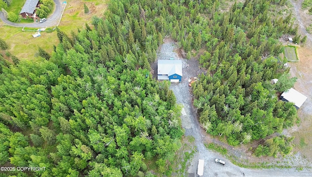 11157 S Berut Rd, Palmer, AK 99645 - view of subject property