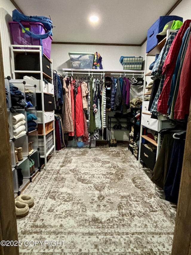 11157 S Berut Rd, Palmer, AK 99645 - view of walk in closet