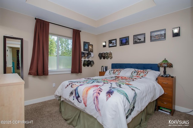 1524 N Little Susitna Dr, Wasilla, AK 99654 - carpeted bedroom with a raised ceiling and baseboards