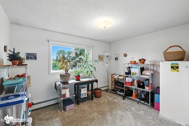 222 Crest Dr, Soldotna, AK 99669 - home office featuring a baseboard heating unit, carpet floors, and a textured ceiling
