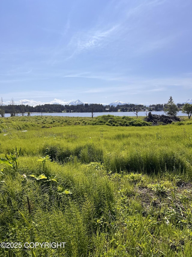 L45 Dahl Way, Homer, AK 99603