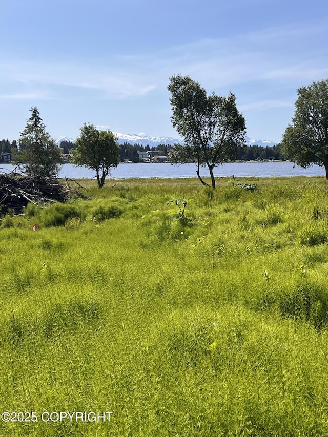 L45 Dahl Way, Homer, AK 99603