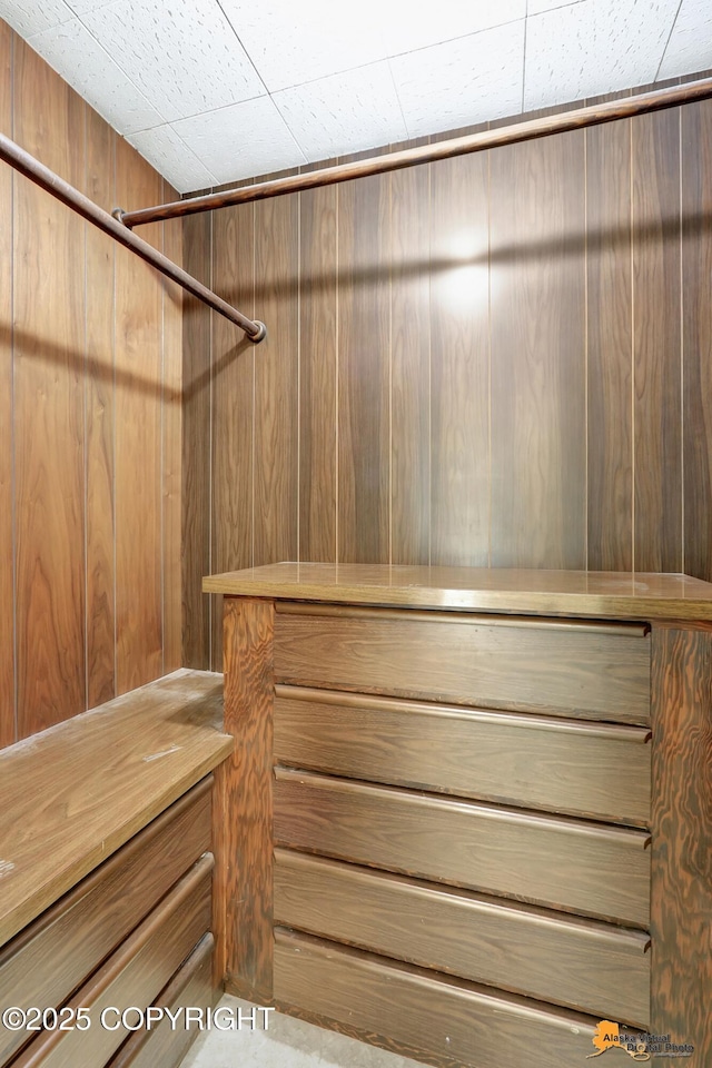 1110 F St, Anchorage, AK 99501 - view of spacious closet