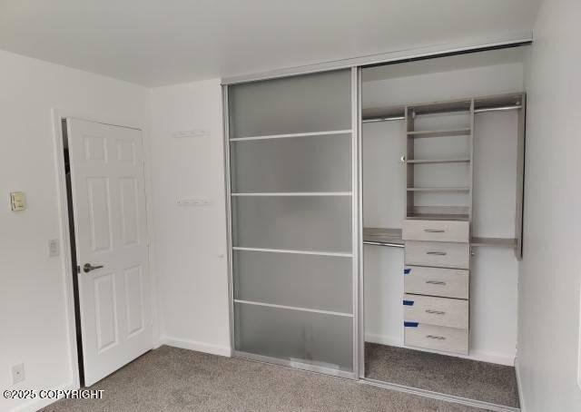 7141 Weimer Rd # 46, Anchorage, AK 99502 - view of closet