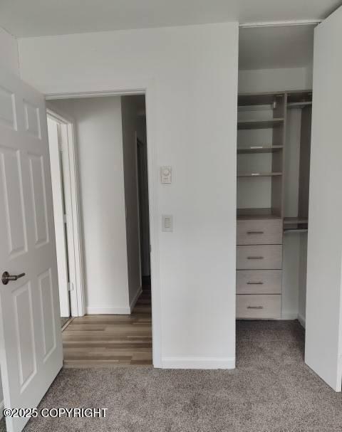 7141 Weimer Rd # 46, Anchorage, AK 99502 - view of closet