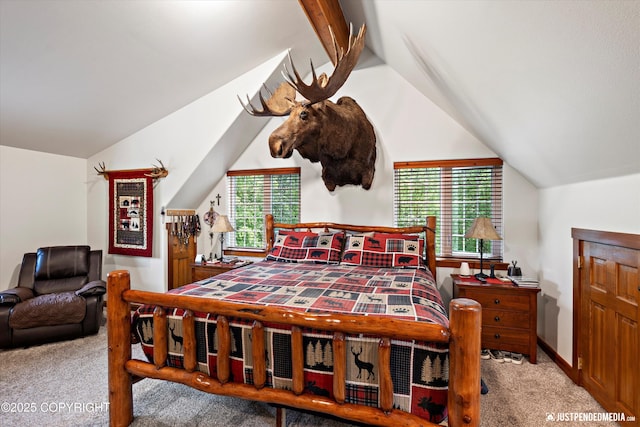 4051 Twilight Ln, Anchorage, AK 99516 - bedroom with vaulted ceiling and carpet floors