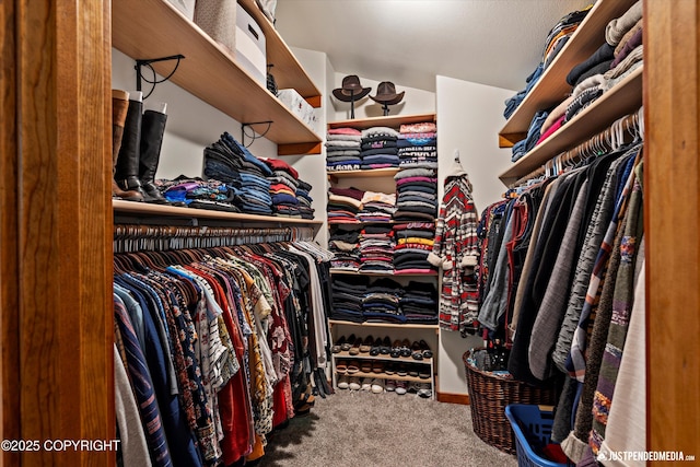 4051 Twilight Ln, Anchorage, AK 99516 - spacious closet featuring carpet