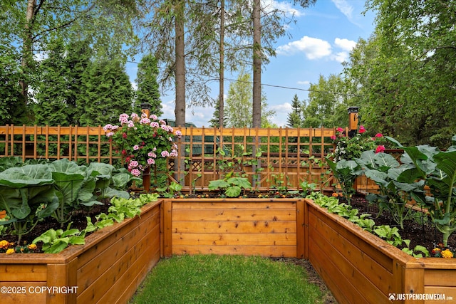4051 Twilight Ln, Anchorage, AK 99516 - view of yard with a vegetable garden