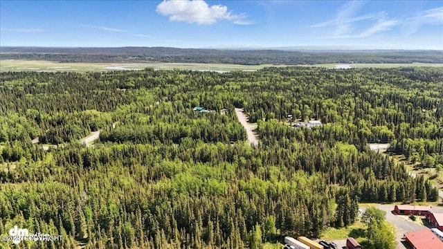 28274 N Cohoe Loop Rd, Kasilof, AK 99610
