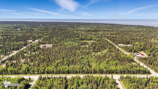 28274 N Cohoe Loop Rd, Kasilof, AK 99610