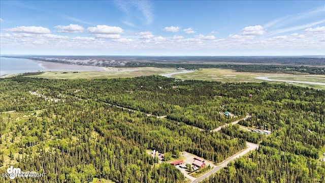28274 N Cohoe Loop Rd, Kasilof, AK 99610