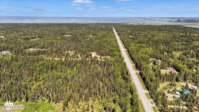 28214 N Cohoe Loop Rd, Kasilof, AK 99610