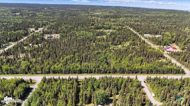 28194 N Cohoe Loop Rd, Kasilof, AK 99610