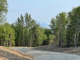 L5B1 Sandburg Dr, Wasilla, AK 99654