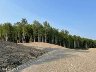 L5B1 Sandburg Dr, Wasilla, AK 99654