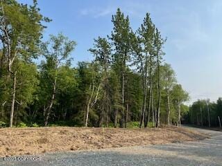 L5B1 Sandburg Dr, Wasilla, AK 99654