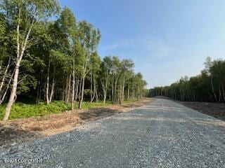 L5B1 Sandburg Dr, Wasilla, AK 99654