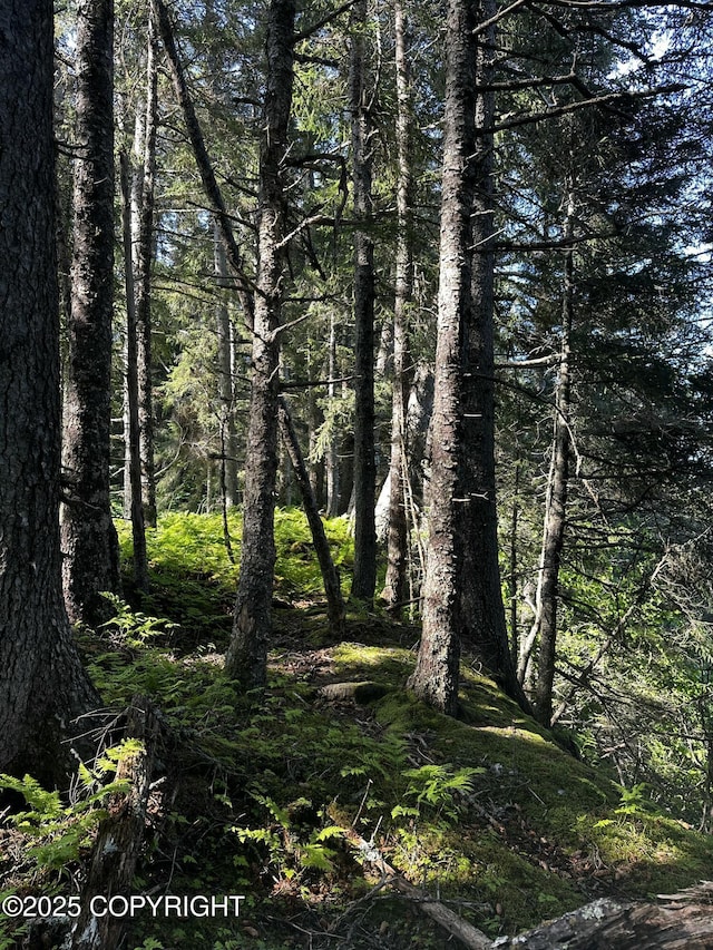 L29B7 Kashevarof Rd, Seldovia, AK 99663