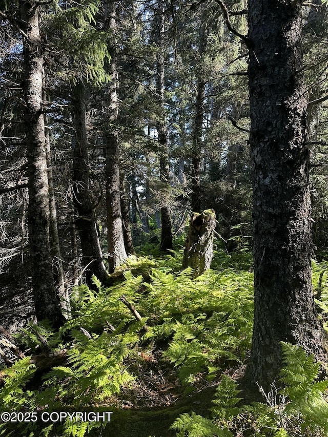L29B7 Kashevarof Rd, Seldovia, AK 99663