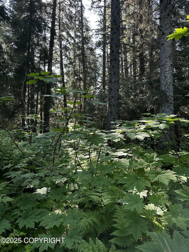 L29B7 Kashevarof Rd, Seldovia, AK 99663