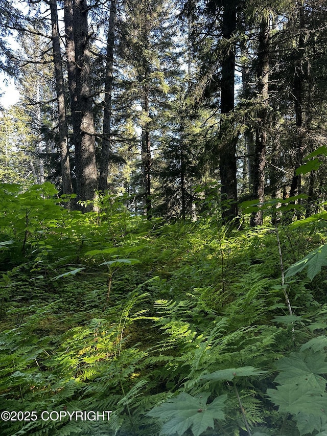 L29B7 Kashevarof Rd, Seldovia, AK 99663