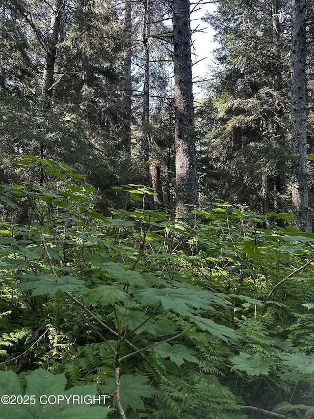 L29B7 Kashevarof Rd, Seldovia, AK 99663