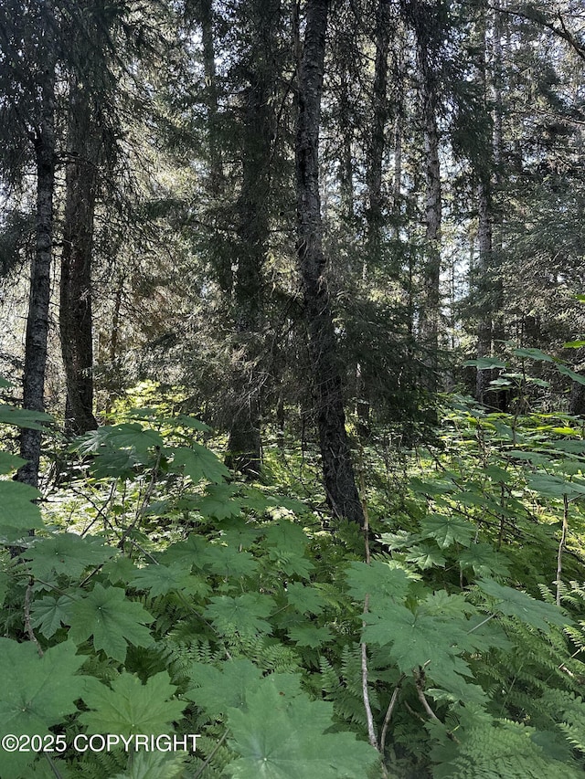 L29B7 Kashevarof Rd, Seldovia, AK 99663