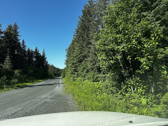 L29B7 Kashevarof Rd, Seldovia, AK 99663