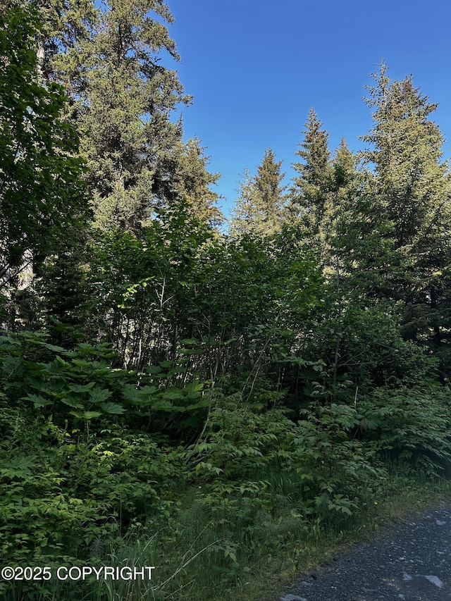 L29B7 Kashevarof Rd, Seldovia, AK 99663