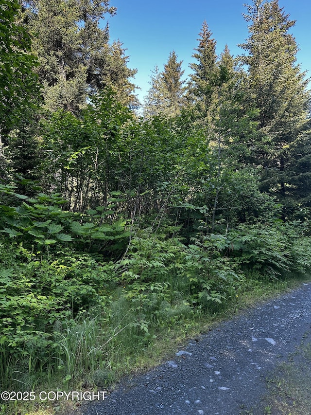 L29B7 Kashevarof Rd, Seldovia, AK 99663