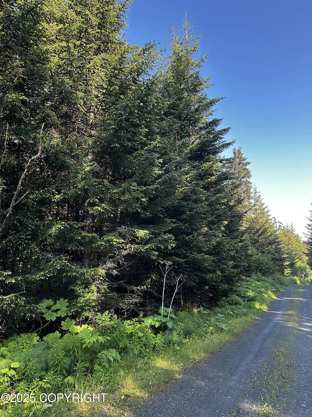 L29B7 Kashevarof Rd, Seldovia, AK 99663