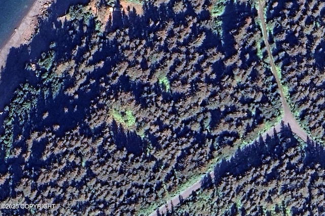 L29B7 Kashevarof Rd, Seldovia, AK 99663