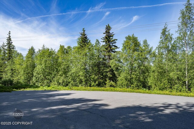 L9 Stonehill Dr, Eagle River, AK 99577 - photo 4