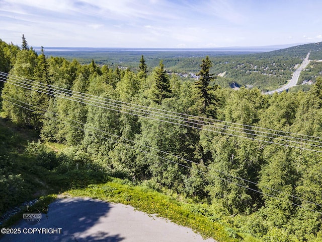 L9 Stonehill Dr, Eagle River, AK 99577 - photo 6
