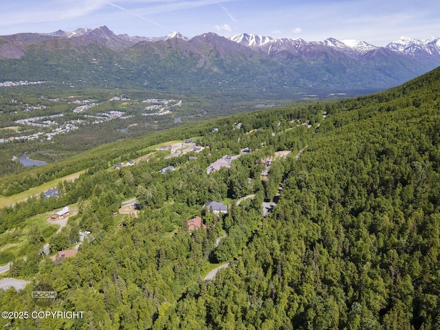 L9 Stonehill Dr, Eagle River, AK 99577 - photo 9