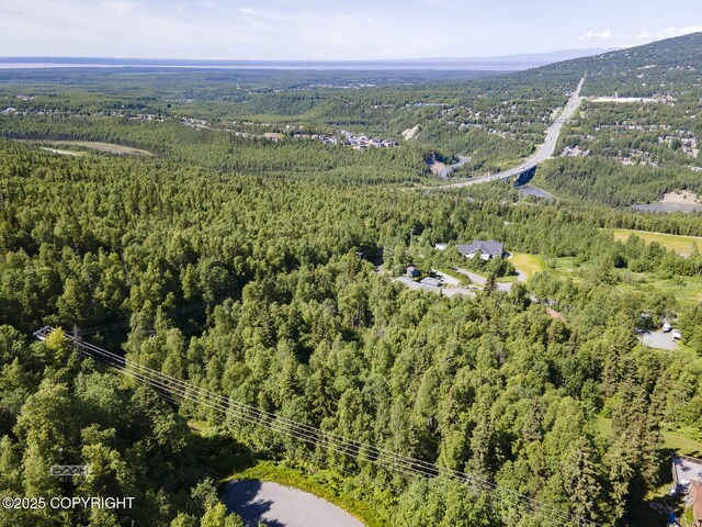 L9 Stonehill Dr, Eagle River, AK 99577 - photo 10