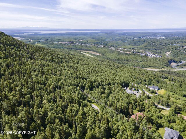 L9 Stonehill Dr, Eagle River, AK 99577 - photo 11