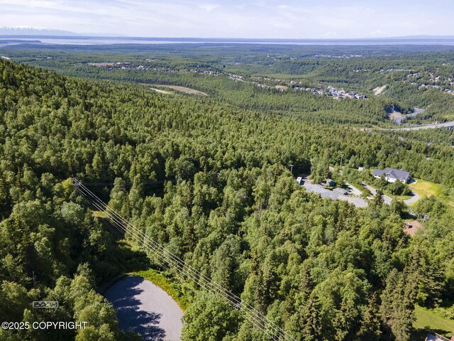 L9 Stonehill Dr, Eagle River, AK 99577 - photo 13