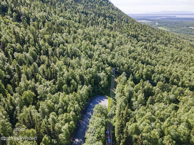 L9 Stonehill Dr, Eagle River, AK 99577 - photo 15