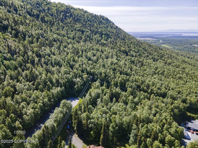 L9 Stonehill Dr, Eagle River, AK 99577 - photo 17