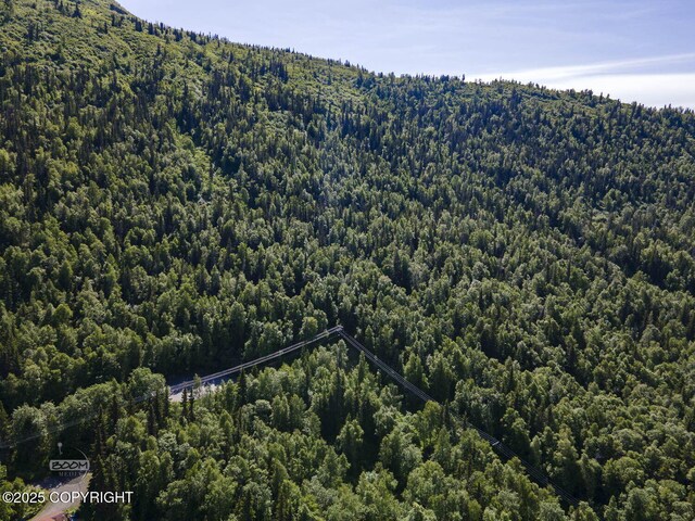 L9 Stonehill Dr, Eagle River, AK 99577 - photo 19