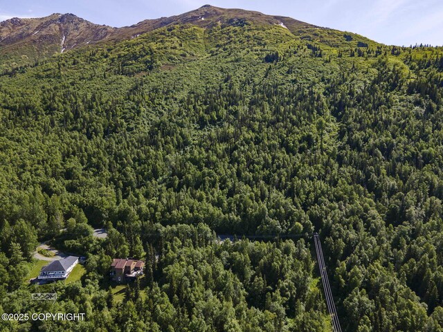L9 Stonehill Dr, Eagle River, AK 99577 - photo 20