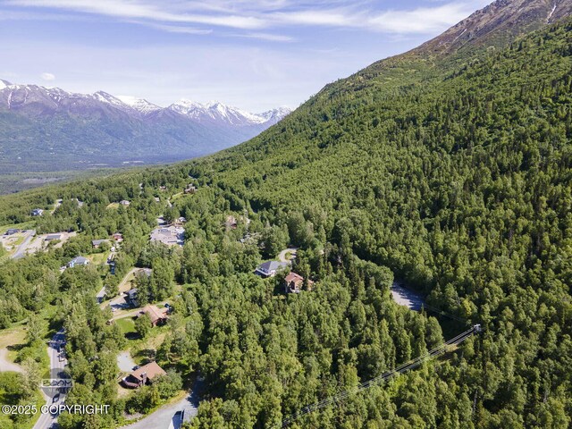 L9 Stonehill Dr, Eagle River, AK 99577 - photo 21