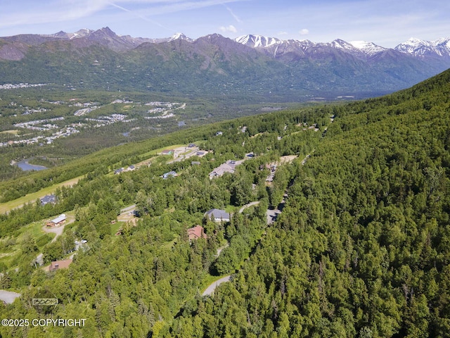 L9 Stonehill Dr, Eagle River, AK 99577 - photo 23