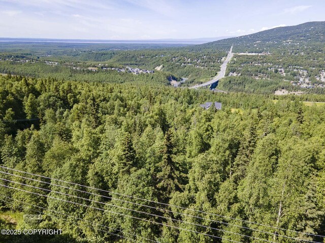 L9 Stonehill Dr, Eagle River, AK 99577 - photo 24