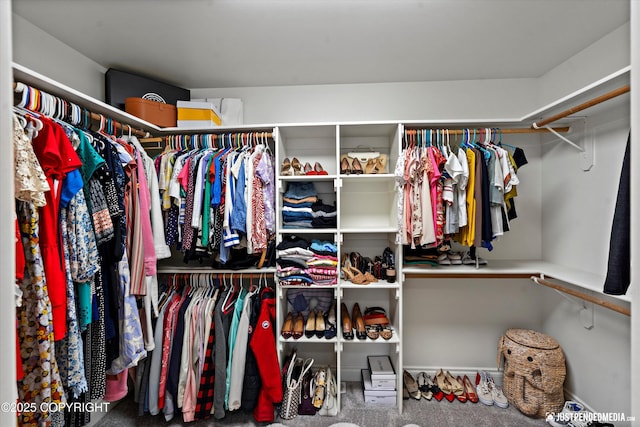 2439 Maritime Loop, Anchorage, AK 99515 - walk in closet with carpet