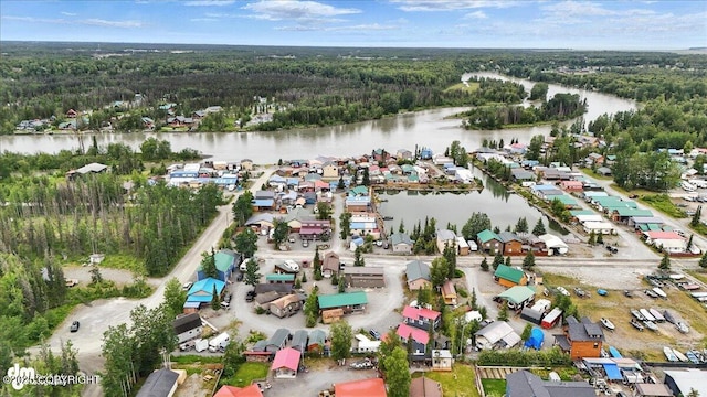 45552 Spruce Ave # 123, Soldotna, AK 99669 - view of property location featuring a forest and a large body of water