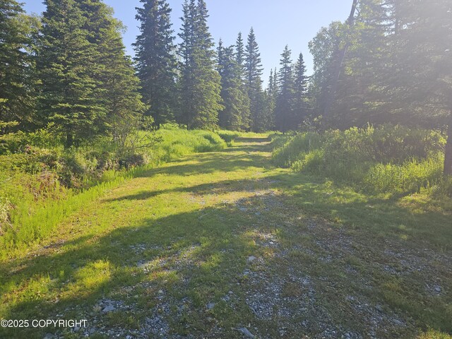 13650 Wildrose Ln, Clam Gulch, AK 99568 - photo 24