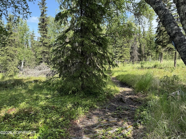 123 Green Valley St, Soldotna, AK 99669 - view of woods